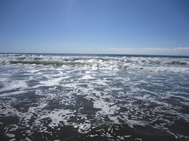 IMG_3121.JPG
